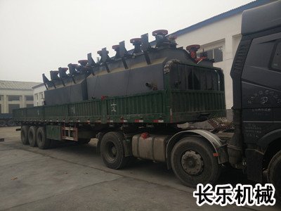 發往遼寧葫蘆島選鉬浮選機